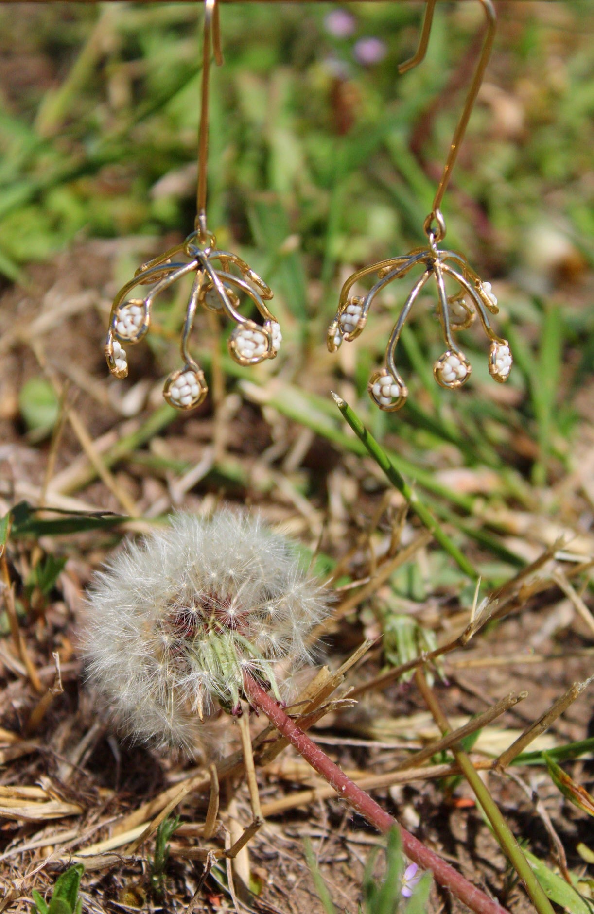 Dandelion drops