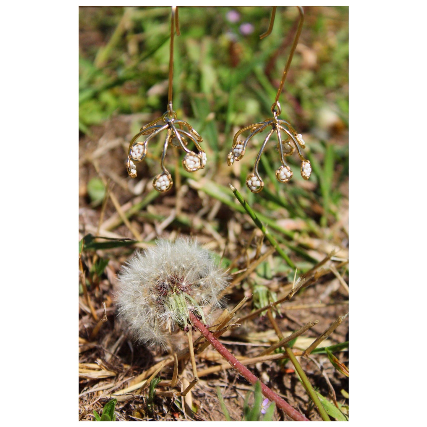 Dandelion drops