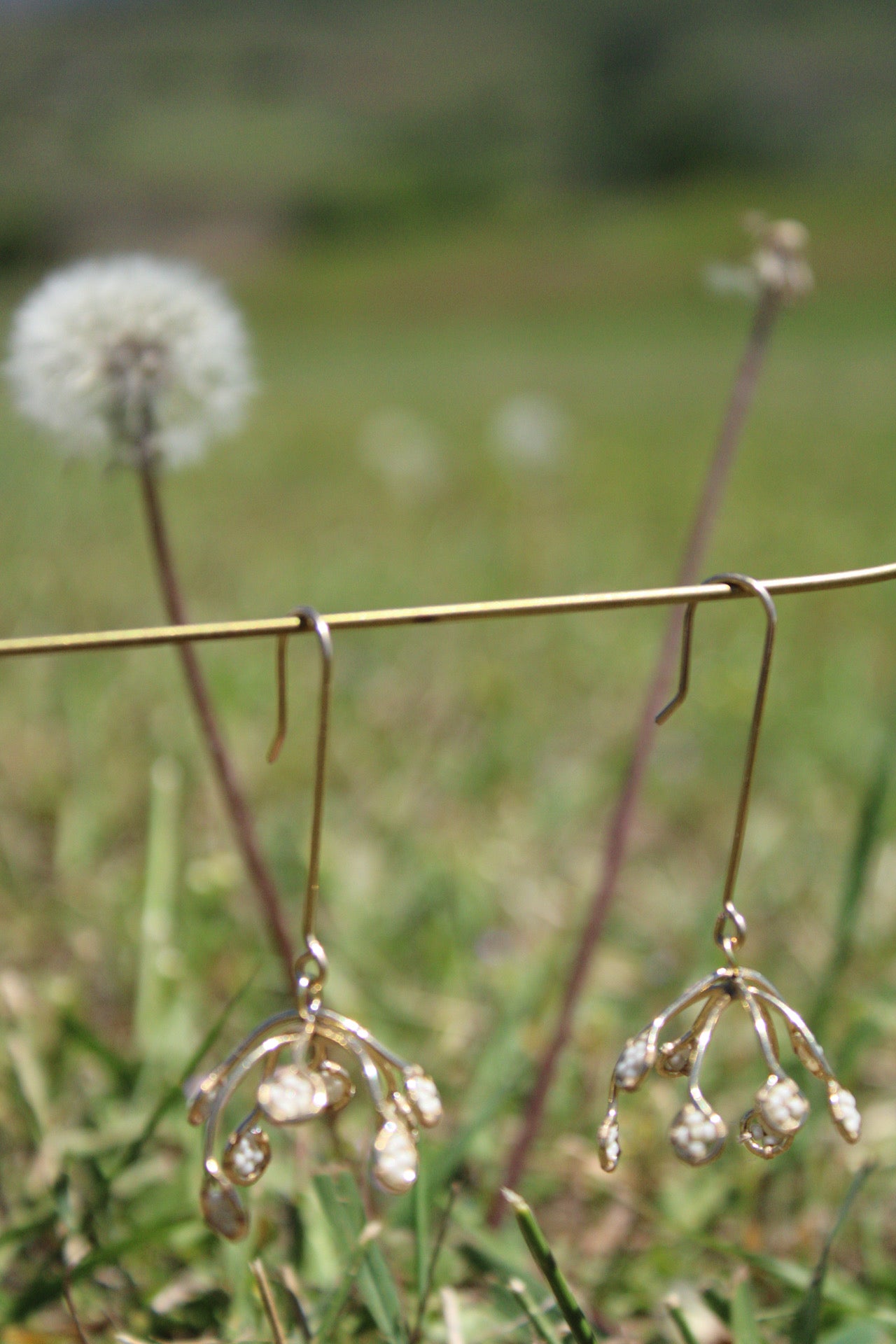 Dandelion drops